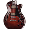 euphony_electric1