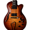 euphony_acp_acoustic2