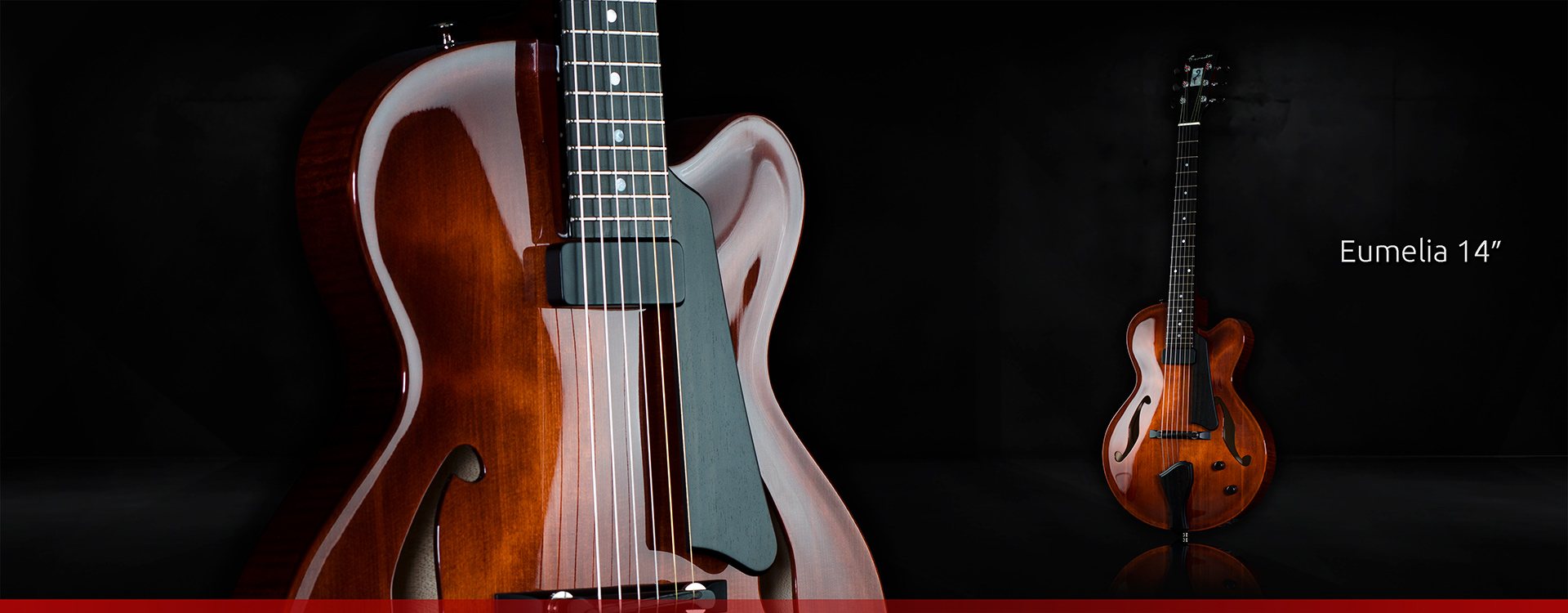 1_fremediti_guitar_archtop_eumelia_14